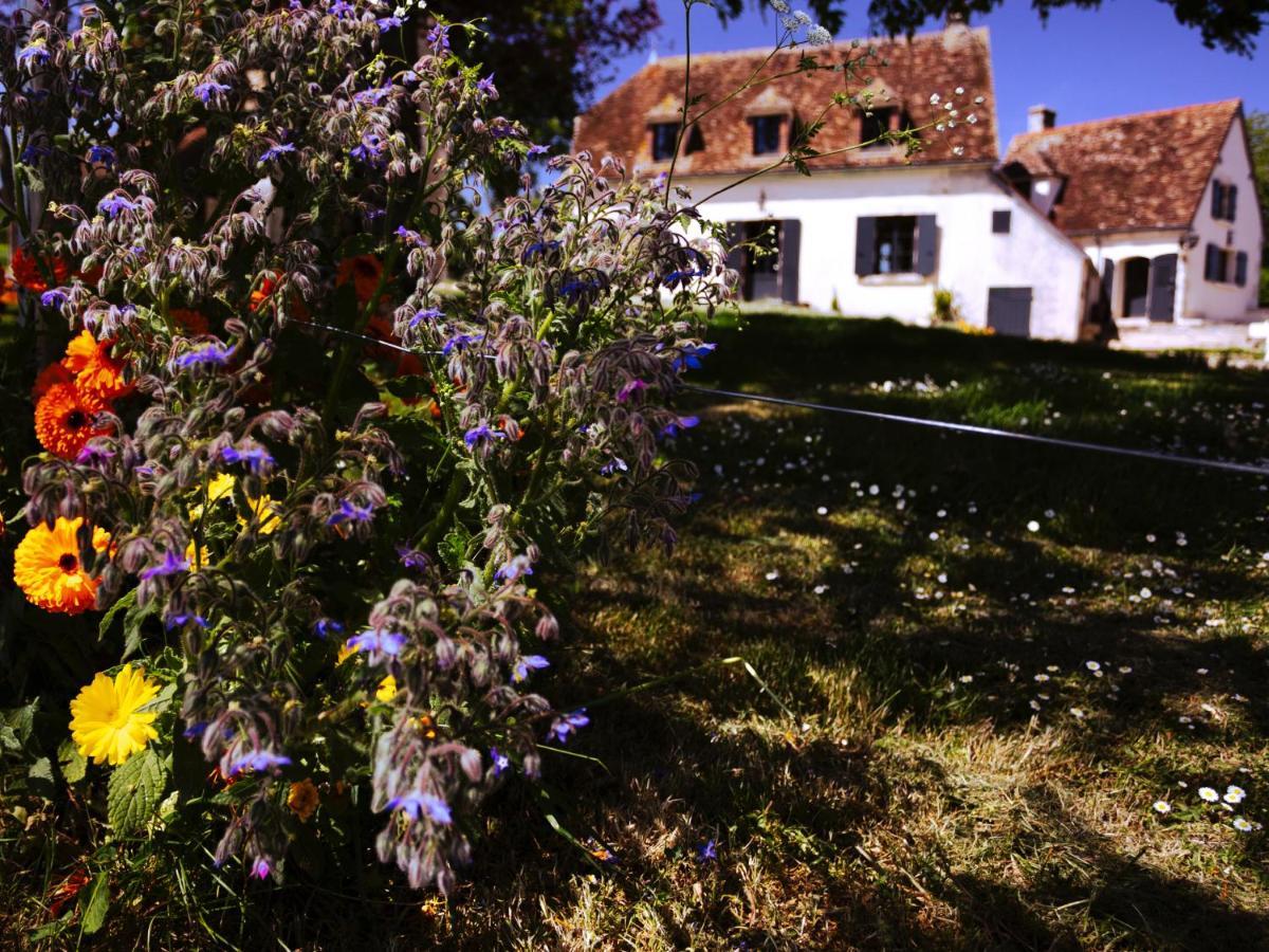 Bed and Breakfast La Guirtelle Lainsecq Екстер'єр фото